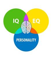 IQ, EQ, Personality, Brain